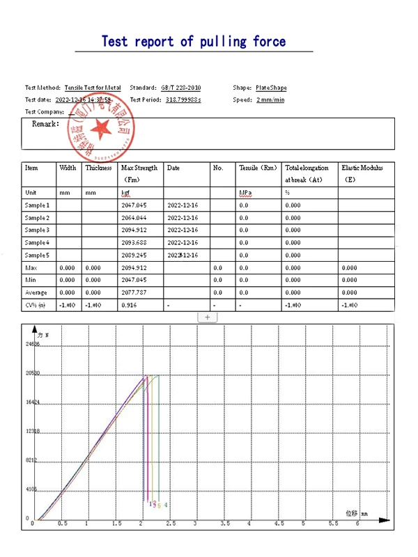 Test Report Test Report